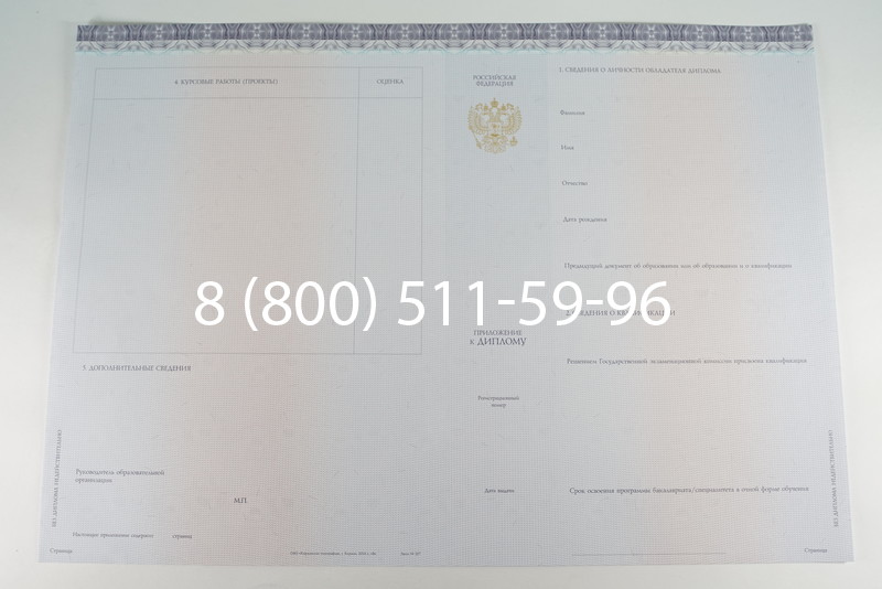 Диплом бакалавра (Киржач) 2014-2024 года в Иркутске Диплом бакалавра (Киржач) 2014-2024 года в Иркутске