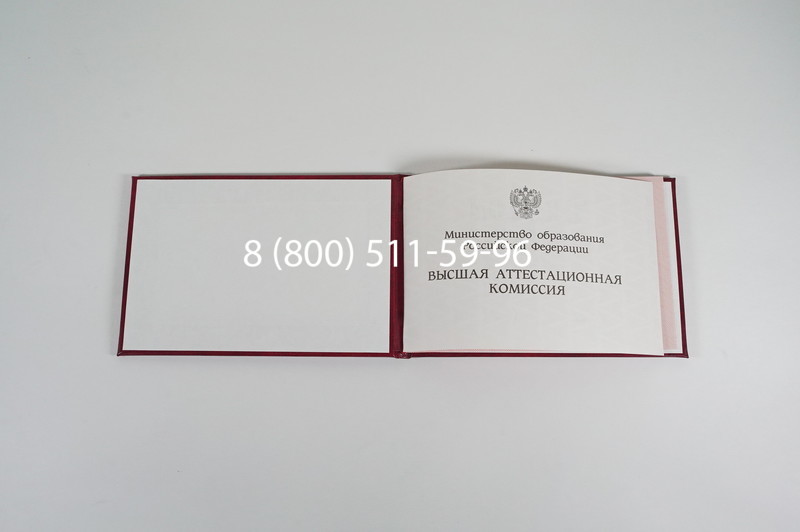 Диплом доктора наук 1995-2006 года в Иркутске