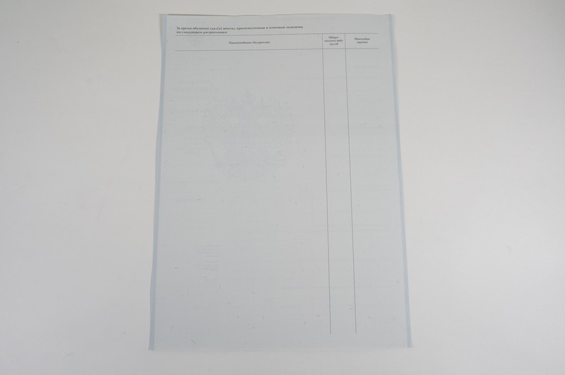 Диплом о начальном образовании 2007-2009 годов в Иркутске Диплом о начальном образовании 2007-2009 годов в Иркутске