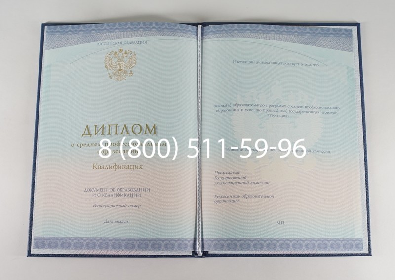 Диплом колледжа (Спецбланк) 2014-2024 года в Иркутске